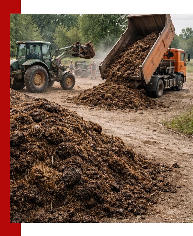 Доставка навоза самосвалами в Петрозаводске для сельхозпотребностей