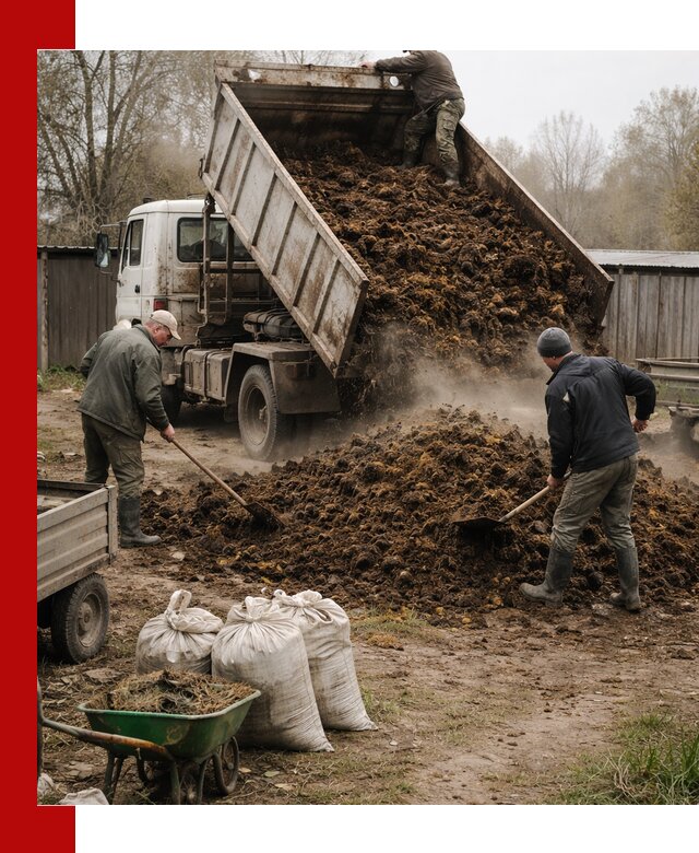 Доставка коровьего навоза самосвалом в Петрозаводске